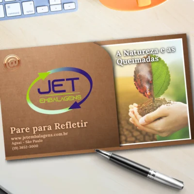 A Natureza e as Queimadas